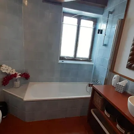 Apartment Infinity Mountain View *